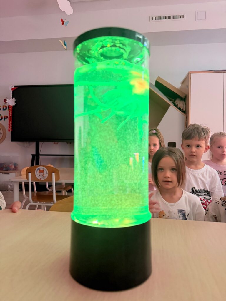 Dzieci przypatrują się lampce z zielonym światłem na dryfujące meduzy.